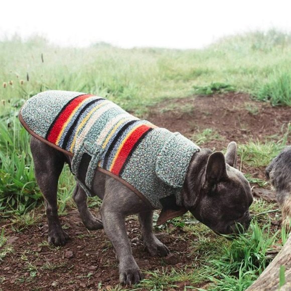 Pendleton Dog Coat - Picture 1 of 6